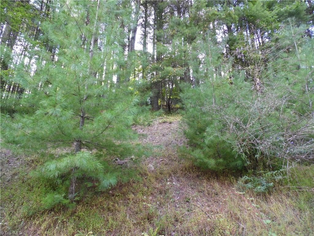 Unimproved Land at TBD Woodlands Drive, Piney Creek NC 28663, photo 9 of 12