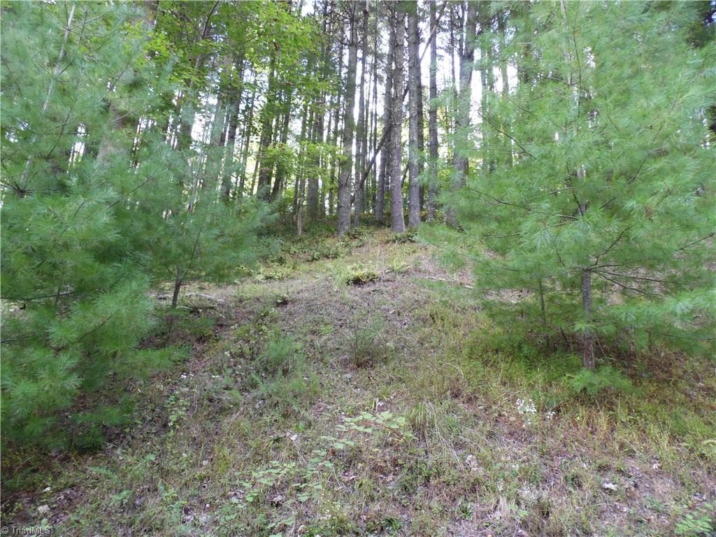 Unimproved Land at TBD Woodlands Drive, Piney Creek NC 28663, photo 8 of 12