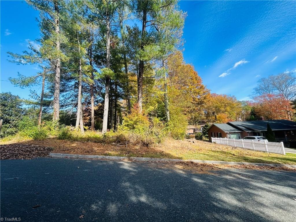 TBD Old Springs Road, Mount Airy NC 27030
