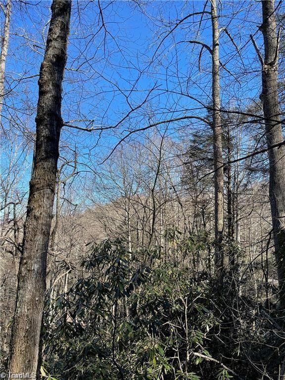 Single Family Residence at Lot E-15 Laurel Ridge Road, Banner Elk NC 28604, photo 3 of 9