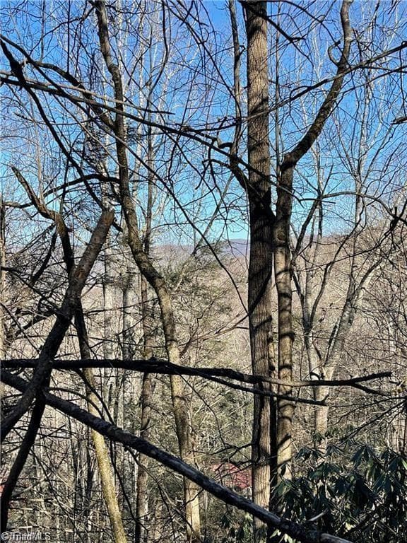 Lot E-15 Laurel Ridge Road, Banner Elk NC 28604