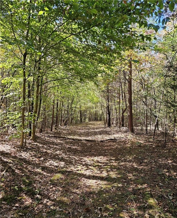 Unimproved Land at 460 Mr Henry Road, Mocksville NC 27028, Mocksville, photo 11 of 24