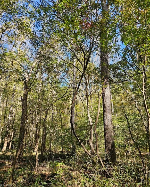 Unimproved Land at 460 Mr Henry Road, Mocksville NC 27028, Mocksville, photo 5 of 24