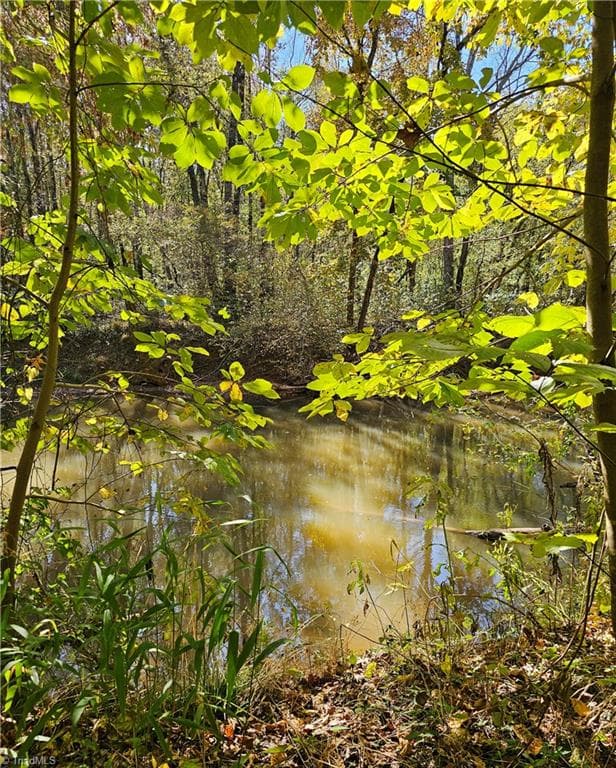 Unimproved Land at 460 Mr Henry Road, Mocksville NC 27028, Mocksville, photo 17 of 24
