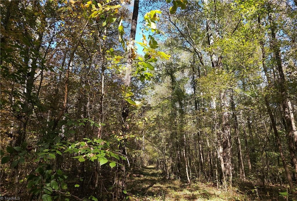 Path along east west boundary toward river - 460 Mr Henry Road, Mocksville NC 27028, Mocksville