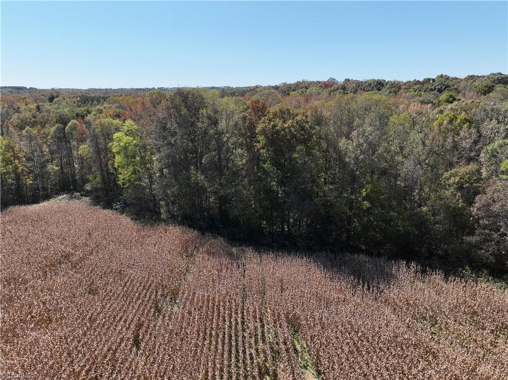 Unimproved Land at 460 Mr Henry Road, Mocksville NC 27028, Mocksville, photo 7 of 24