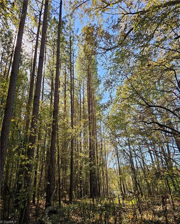 Unimproved Land at 460 Mr Henry Road, Mocksville NC 27028, Mocksville, photo 15 of 24