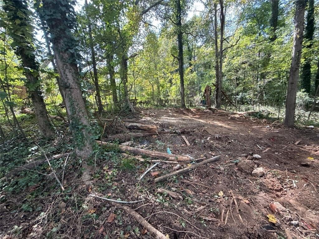 Single Family Residence at 0 Yukon Road, Walkertown NC 27051, photo 5 of 10