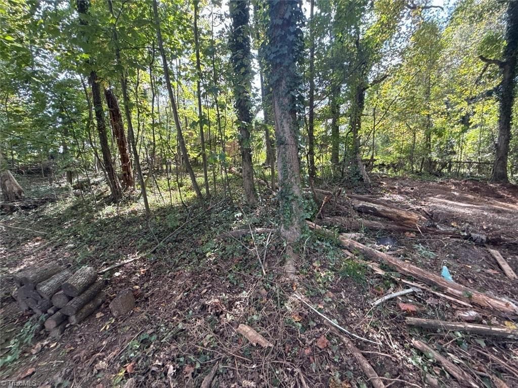 Single Family Residence at 0 Yukon Road, Walkertown NC 27051, photo 4 of 10