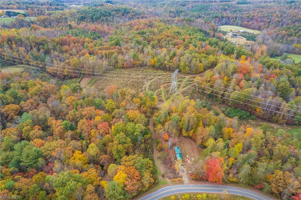 Unimproved Land at TBD Billings Hill Church Road, Traphill NC 28685, photo 6 of 26