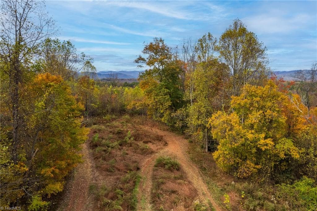 Unimproved Land at TBD Billings Hill Church Road, Traphill NC 28685, photo 13 of 26