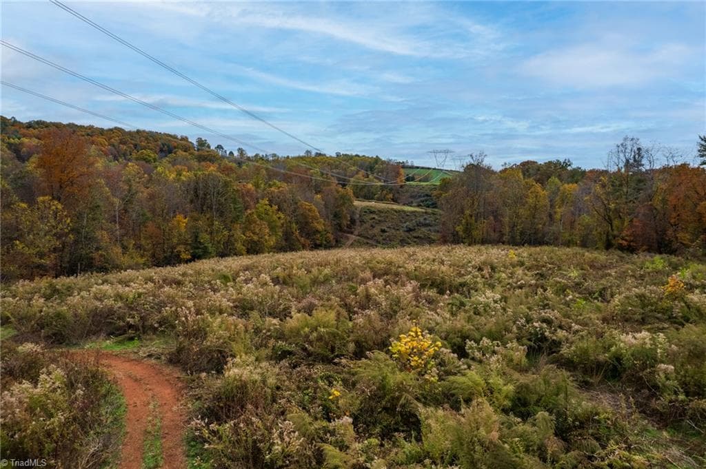 Unimproved Land at TBD Billings Hill Church Road, Traphill NC 28685, photo 12 of 26
