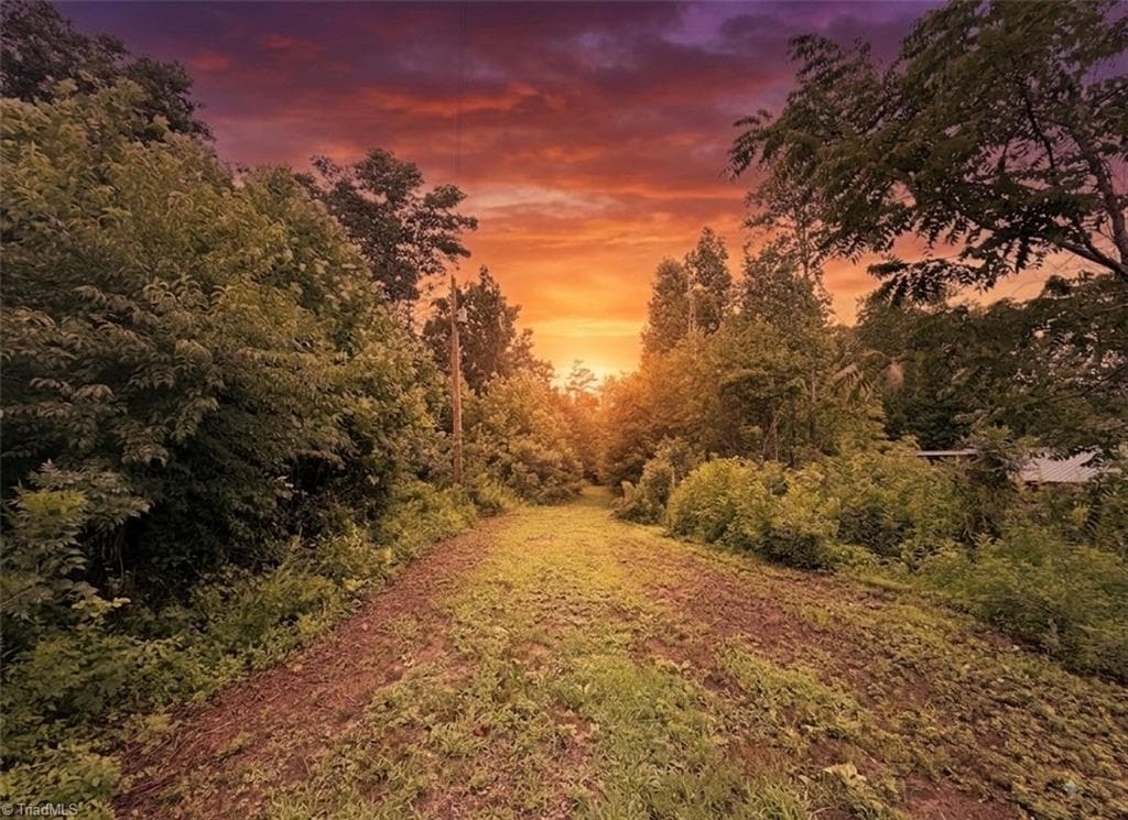 Unimproved Land at TBD Billings Hill Church Road, Traphill NC 28685, photo 26 of 26