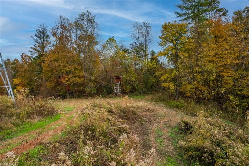 Unimproved Land at TBD Billings Hill Church Road, Traphill NC 28685, photo 22 of 26
