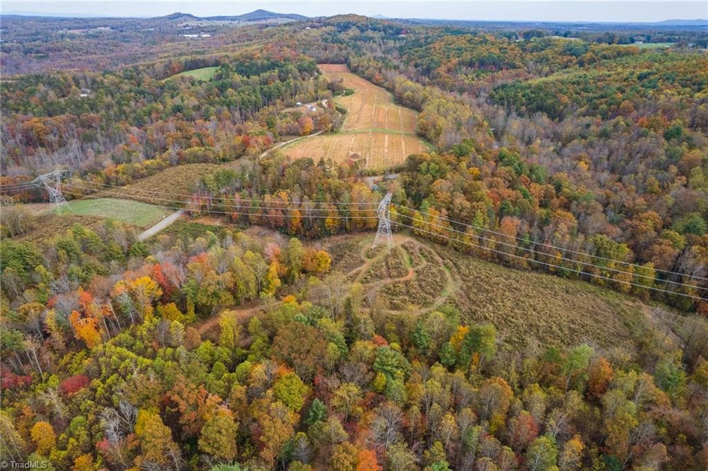 Unimproved Land at TBD Billings Hill Church Road, Traphill NC 28685, photo 7 of 26