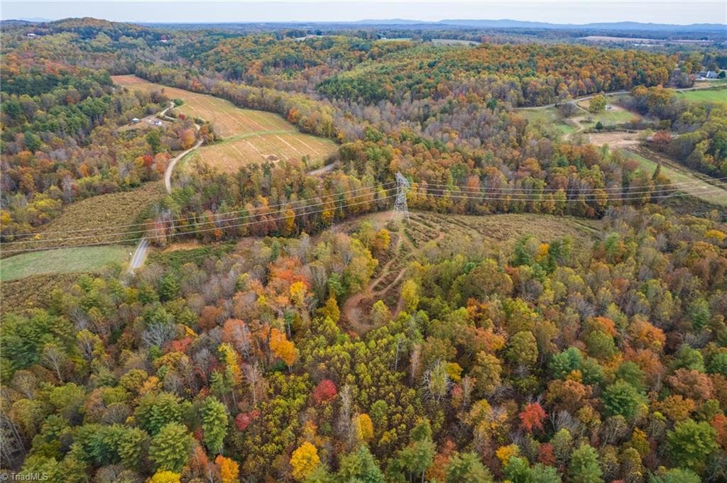 Unimproved Land at TBD Billings Hill Church Road, Traphill NC 28685, photo 5 of 26