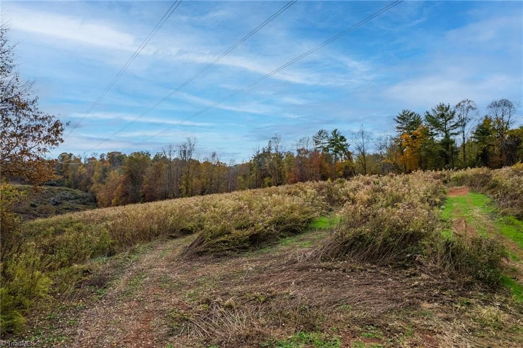 Unimproved Land at TBD Billings Hill Church Road, Traphill NC 28685, photo 9 of 26