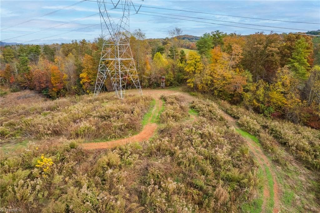 Unimproved Land at TBD Billings Hill Church Road, Traphill NC 28685, photo 10 of 26