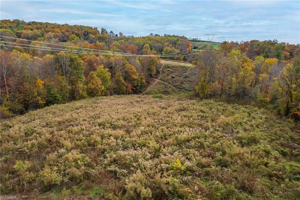 Unimproved Land at TBD Billings Hill Church Road, Traphill NC 28685, photo 11 of 26