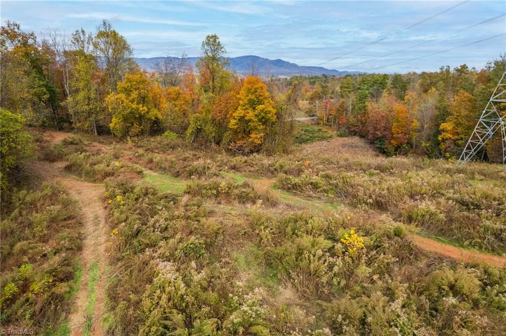 Unimproved Land at TBD Billings Hill Church Road, Traphill NC 28685, photo 19 of 26