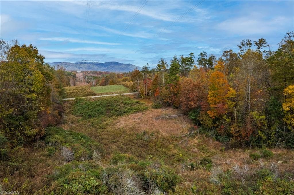 Unimproved Land at TBD Billings Hill Church Road, Traphill NC 28685, photo 21 of 26