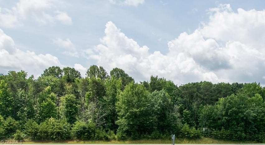 Remarks at 1305 ZZ Piney Grove Road, Whitsett NC 27377, photo 9 of 9