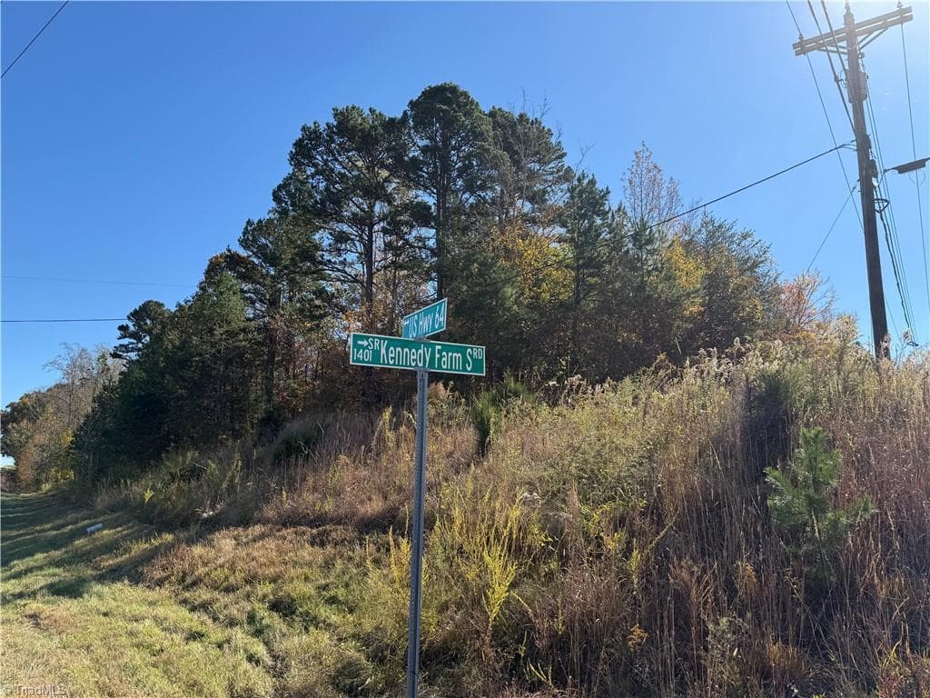 Agriculture at 0 E US HIGHWAY 64, Trinity NC 27370, photo 5 of 15