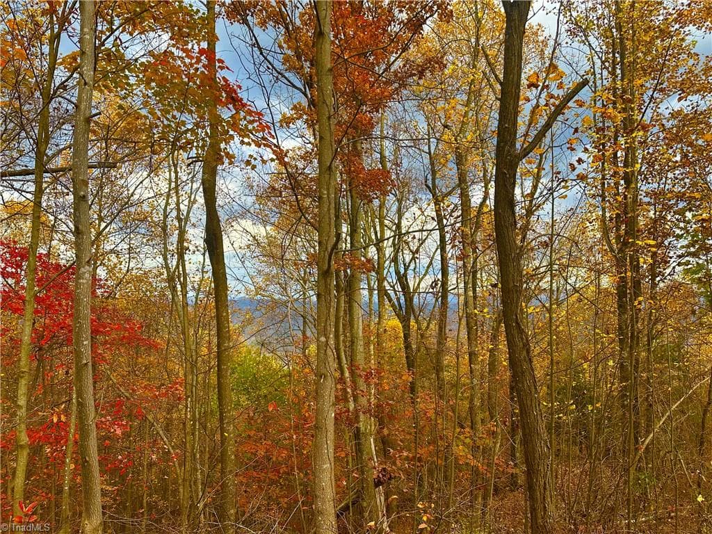 Unimproved Land at Lot 15 Morning Mist Drive, Boomer NC 28606, photo 6 of 9