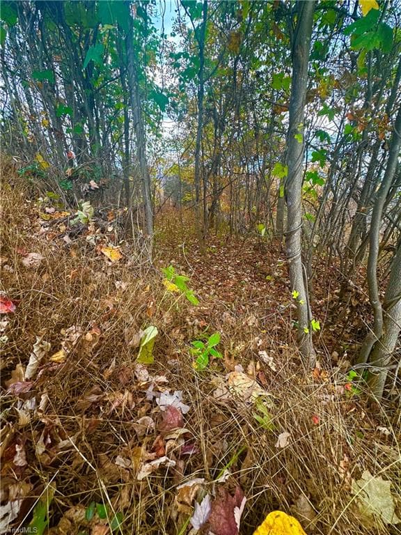 Unimproved Land at Lot 15 Morning Mist Drive, Boomer NC 28606, photo 7 of 9