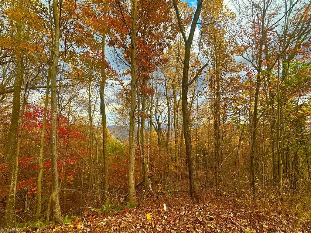 Unimproved Land at Lot 15 Morning Mist Drive, Boomer NC 28606, photo 5 of 9