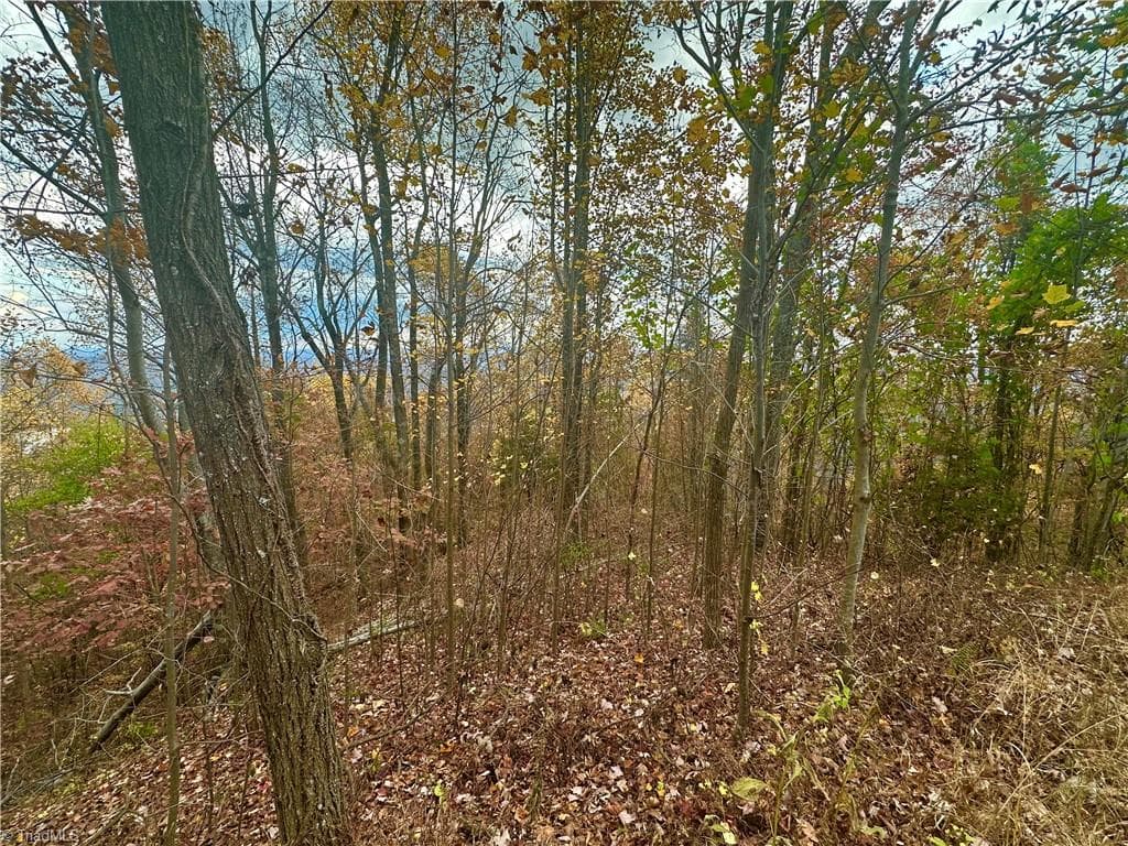 Unimproved Land at Lot 15 Morning Mist Drive, Boomer NC 28606, photo 9 of 9