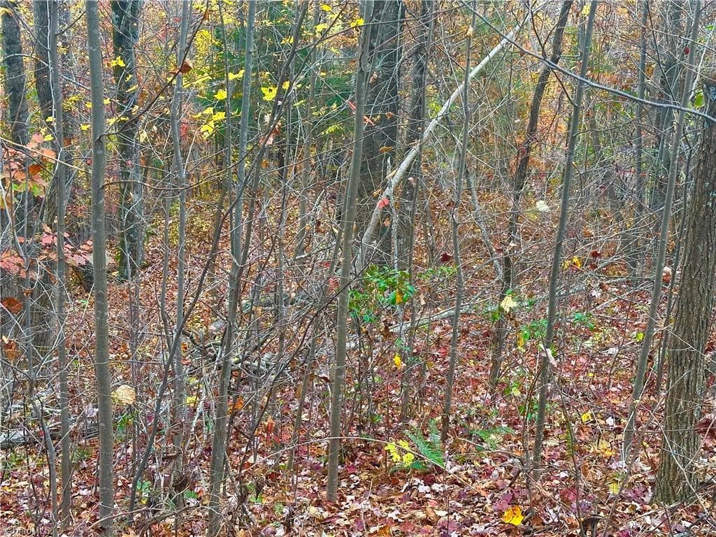 Unimproved Land at Lot 15 Morning Mist Drive, Boomer NC 28606, photo 8 of 9