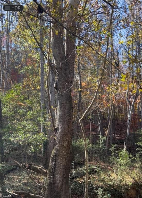 Unimproved Land at 0 Snuggs Park Road, Albemarle NC 28001, Albemarle, photo 2 of 2