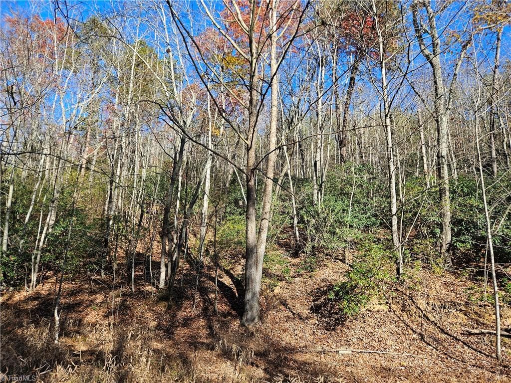 Unimproved Land at 3309 E Pine Street, Mount Airy NC 27030, photo 6 of 8