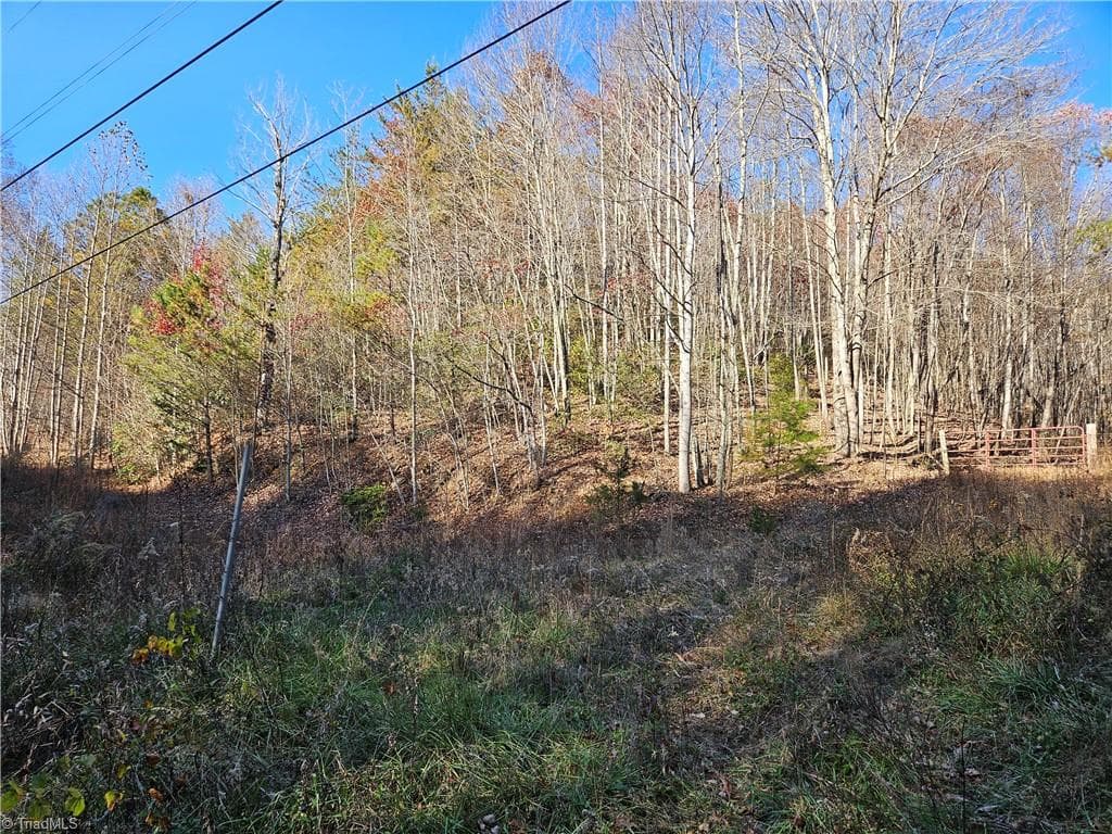 Unimproved Land at 3309 E Pine Street, Mount Airy NC 27030, photo 7 of 8