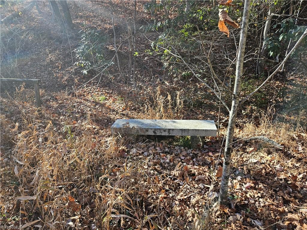 Unimproved Land at 3309 E Pine Street, Mount Airy NC 27030, photo 3 of 8