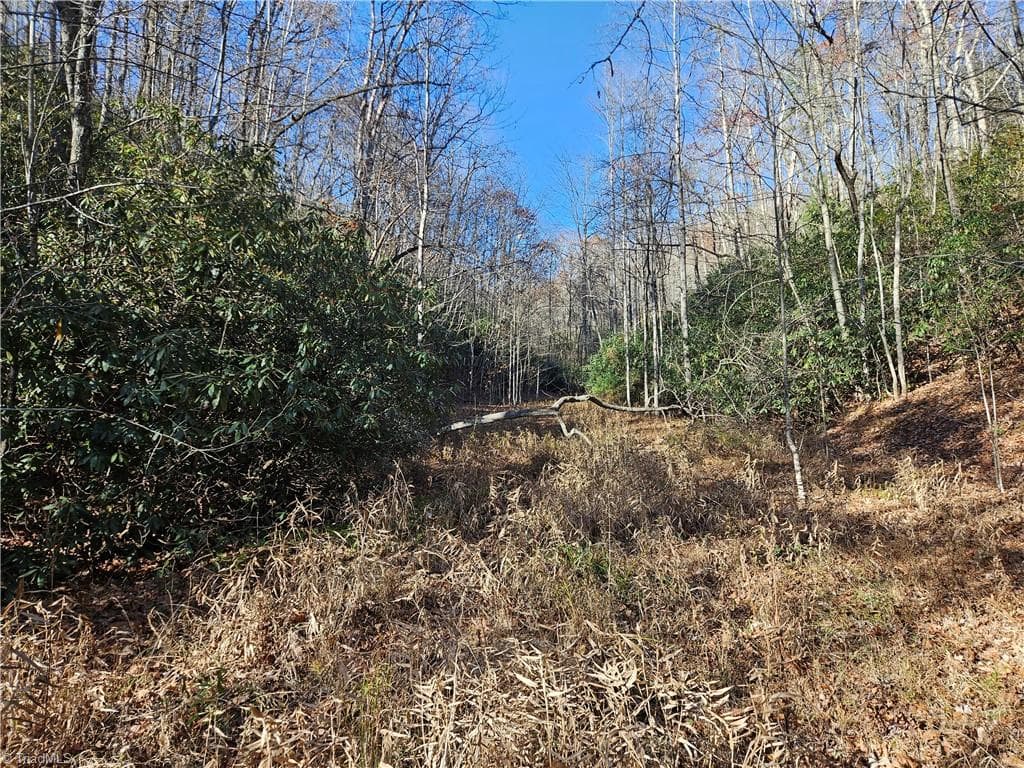 Unimproved Land at 3309 E Pine Street, Mount Airy NC 27030, photo 8 of 8