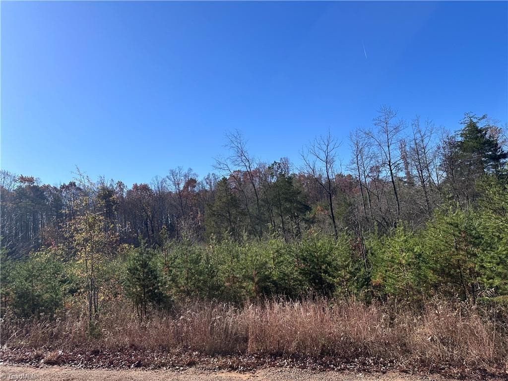 Unimproved Land at 5 Stephens Trail Road, Sandy Ridge NC 27046, photo 2 of 3