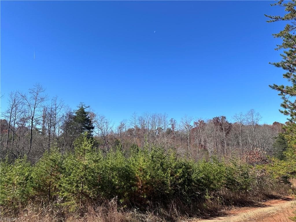 Unimproved Land at 5 Stephens Trail Road, Sandy Ridge NC 27046, photo 3 of 3