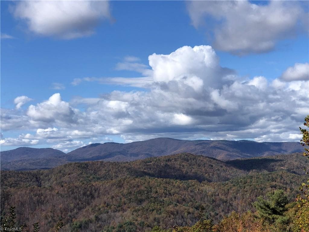 Single Family Residence at Lot 96 Buck Mountain Road, Purlear NC 28665, photo 16 of 32