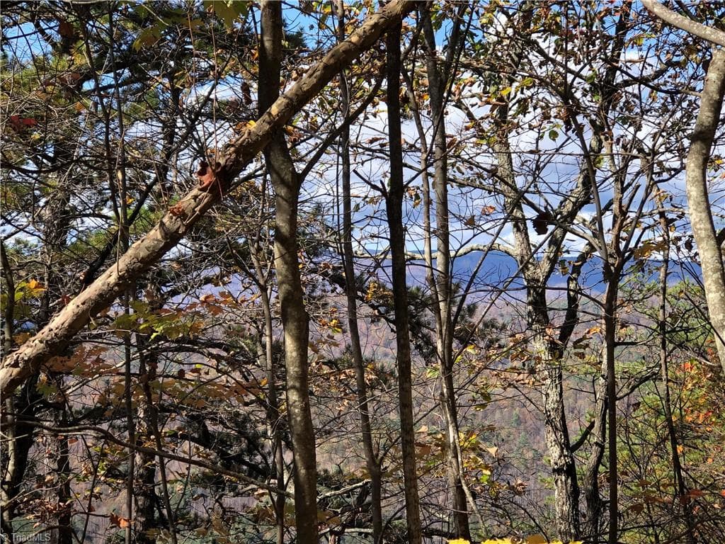 Single Family Residence at Lot 96 Buck Mountain Road, Purlear NC 28665, photo 15 of 32