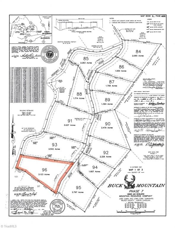 Single Family Residence at Lot 96 Buck Mountain Road, Purlear NC 28665, photo 4 of 32