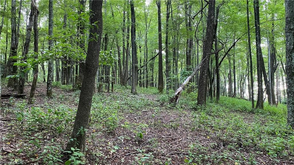 Unimproved Land at TBD Scout Road, Lenoir NC 28645, Lenoir, photo 17 of 18