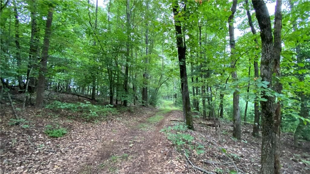 Unimproved Land at TBD Scout Road, Lenoir NC 28645, Lenoir, photo 16 of 18