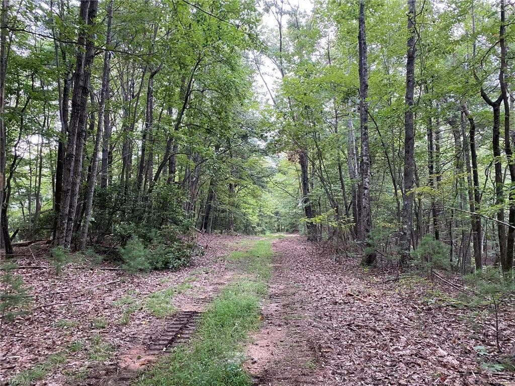Unimproved Land at TBD Scout Road, Lenoir NC 28645, Lenoir, photo 12 of 18