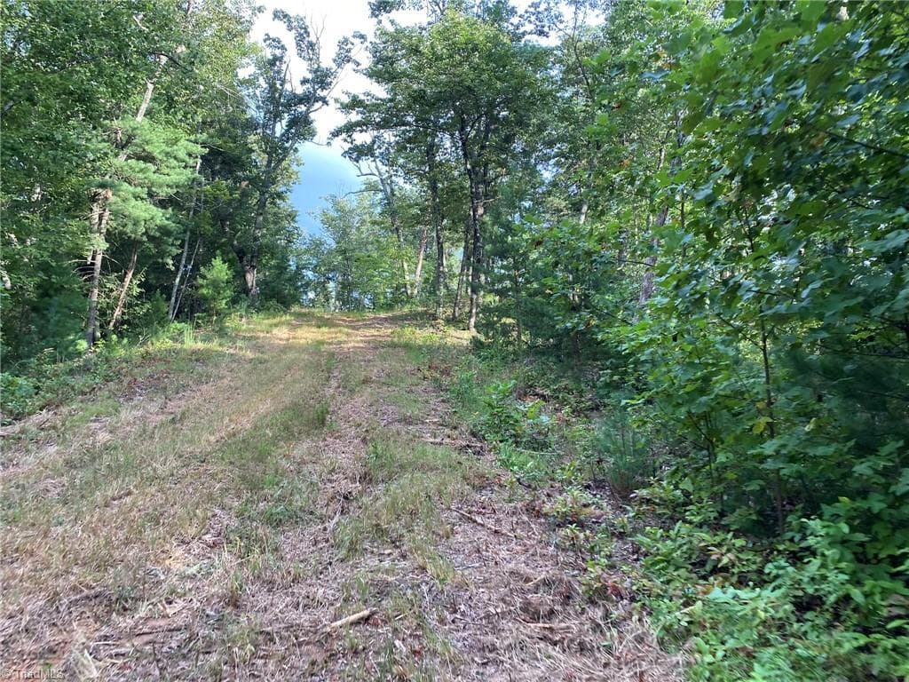 Unimproved Land at TBD Scout Road, Lenoir NC 28645, Lenoir, photo 14 of 18