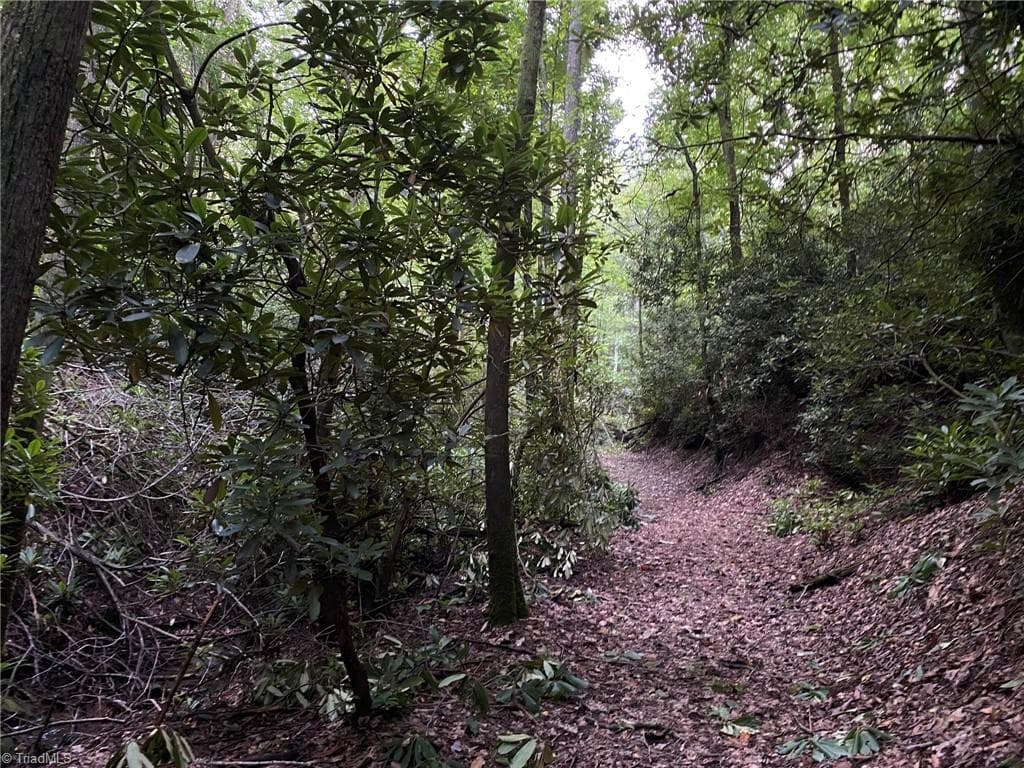 Unimproved Land at TBD Scout Road, Lenoir NC 28645, Lenoir, photo 18 of 18
