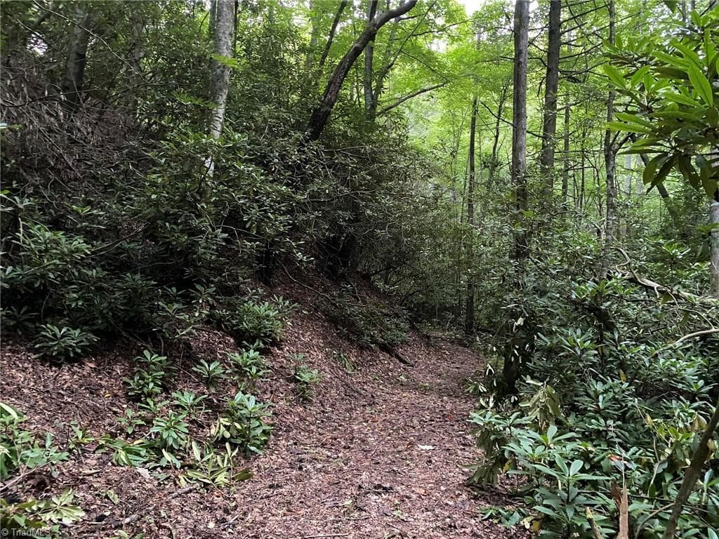 Unimproved Land at TBD Scout Road, Lenoir NC 28645, Lenoir, photo 8 of 18