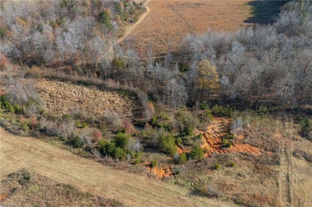 Agriculture at 0 Little Birds Lane, Reidsville NC 27320, photo 8 of 16