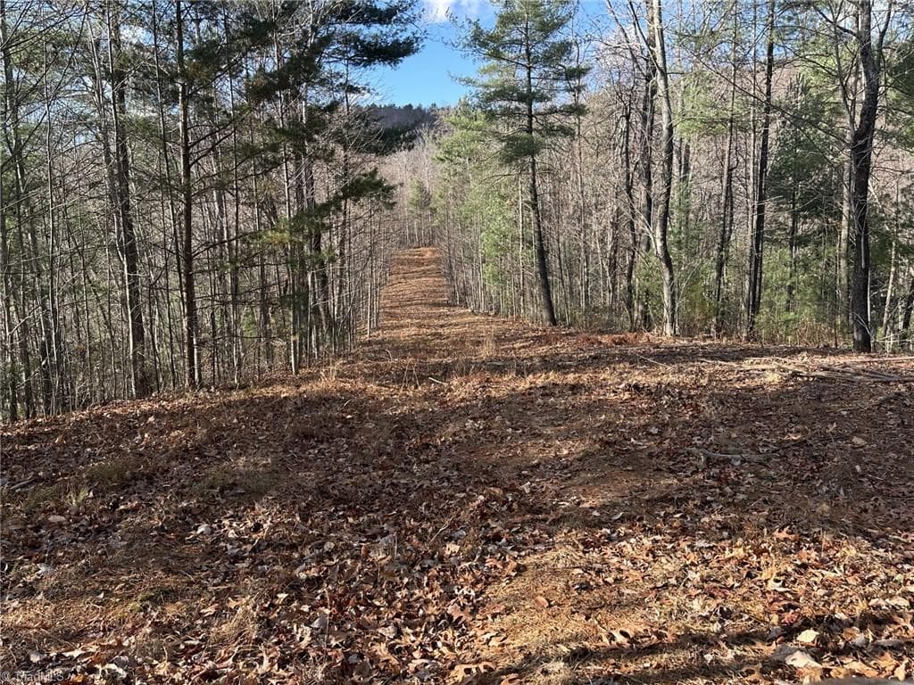 Unimproved Land at TBD1 Scout Road, Lenoir NC 28645, Lenoir, photo 23 of 34